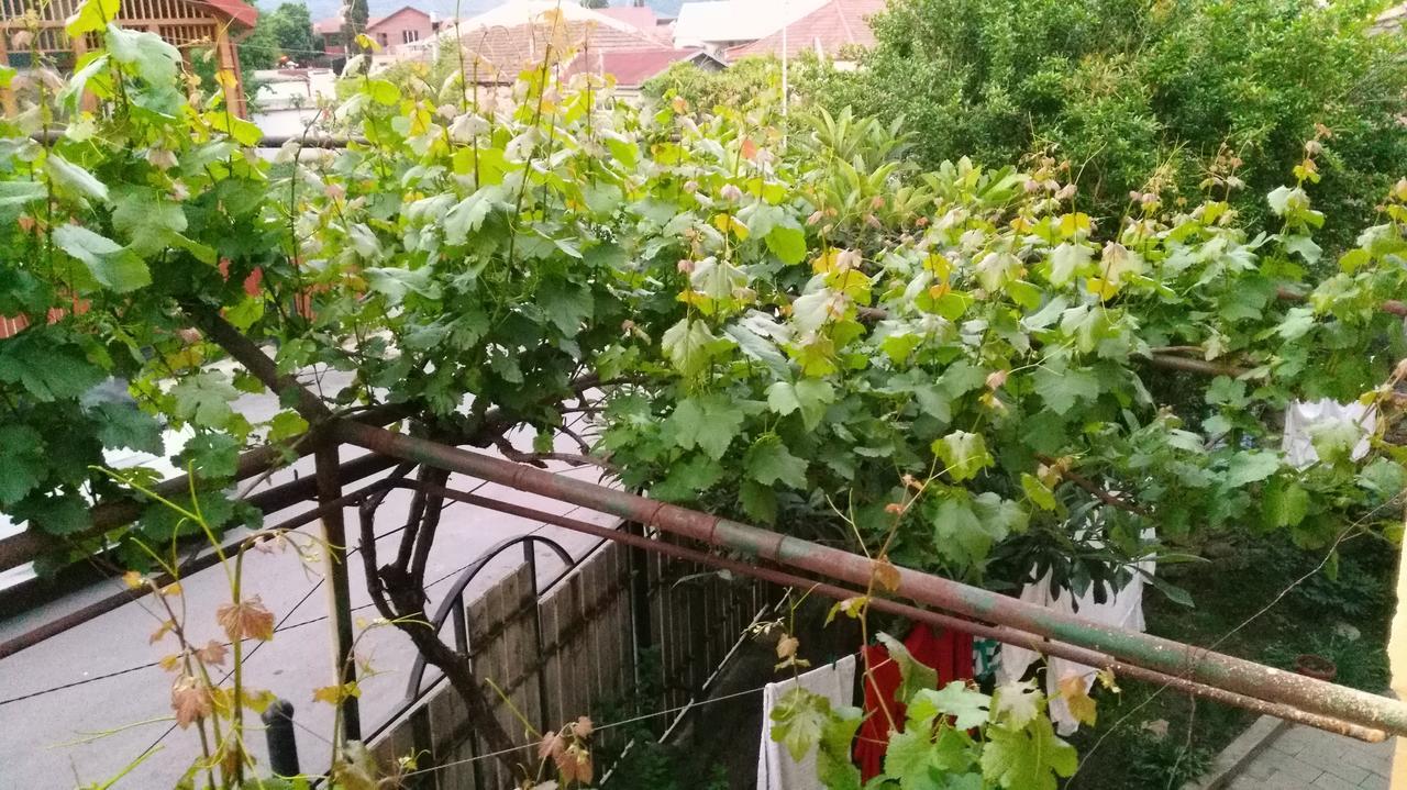 Guest House Gelit Mtsʼkhetʼa Dış mekan fotoğraf