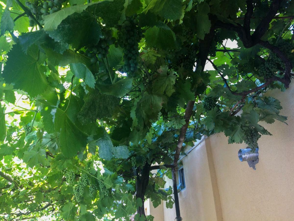 Guest House Gelit Mtsʼkhetʼa Dış mekan fotoğraf